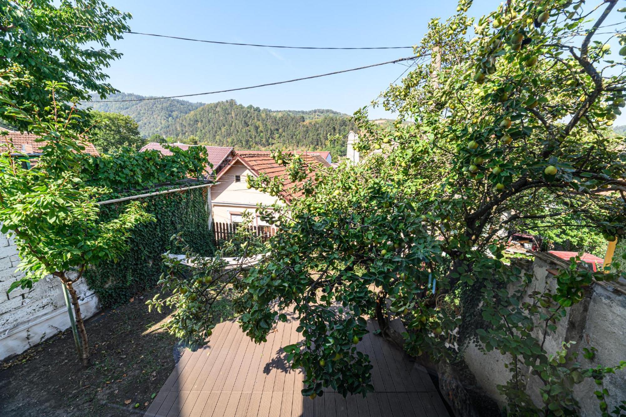 Lagom - Hot Tub Hideout Braşov Eksteriør bilde